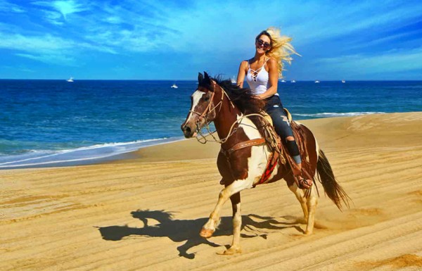 Horse Or  Camel Riding ( 2 hours )