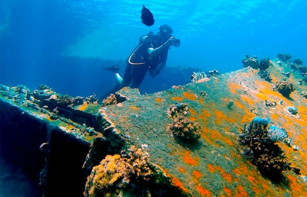 Full-Day Wreck Dive In Hurghada