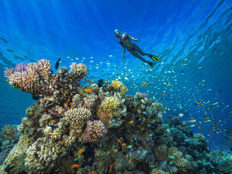 Top 15 Must-Do Activities in Hurghada