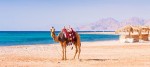First Time in Hurghada? Here's What You Need to Know