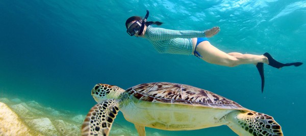 Best Snorkeling Spots in Hurghada: A Complete Guide