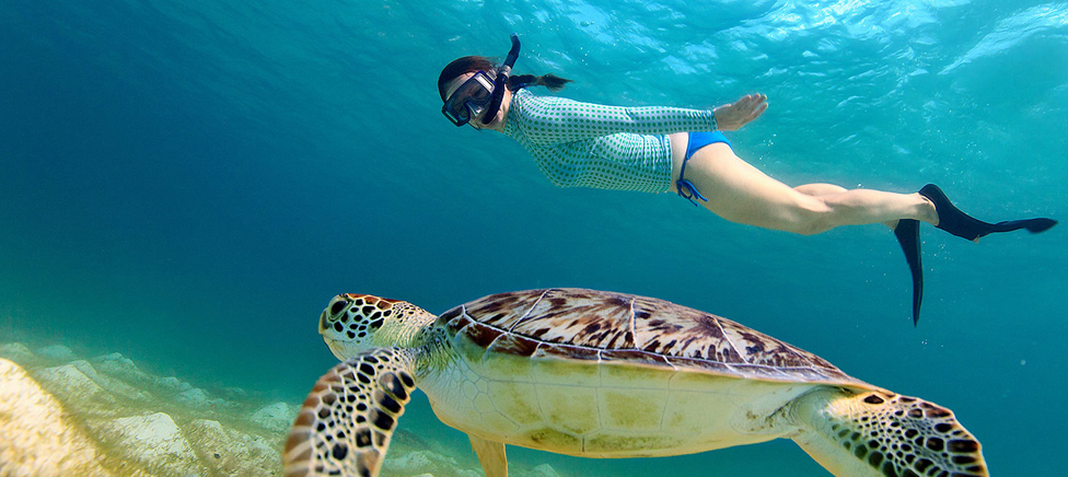 Best Snorkeling Spots in Hurghada: A Complete Guide