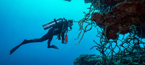 Scuba Diving in Hurghada: Sites, Tips & What to Expect